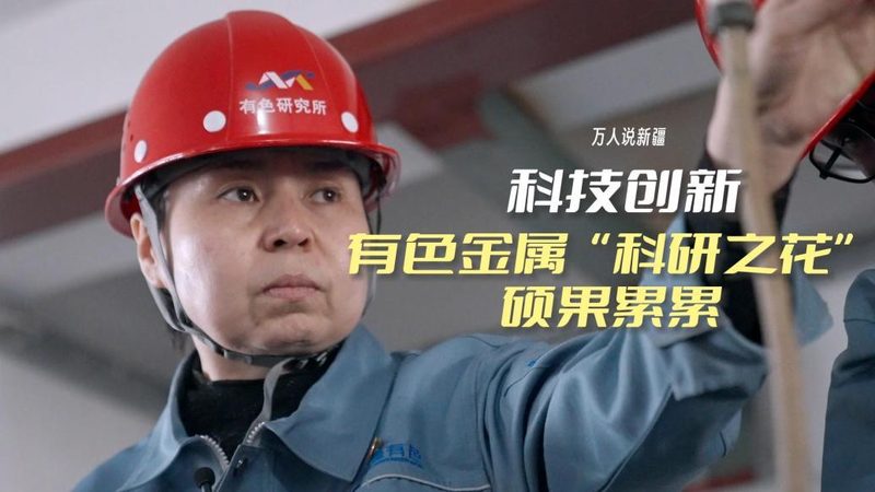 数据服务厂家地域划分：如何选择合适的合作伙伴**